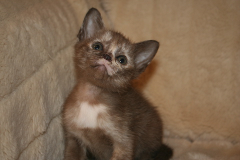 IMG_9945.JPG