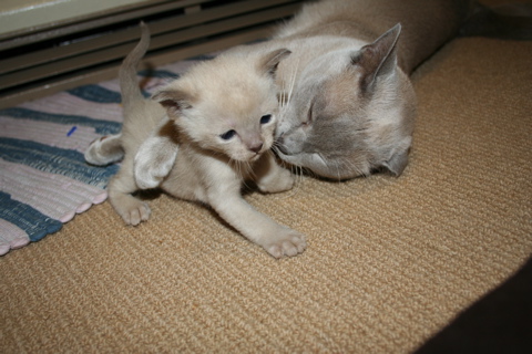 IMG_5639.JPG