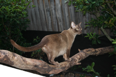 IMG_6662.JPG