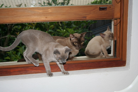 IMG_6657.JPG